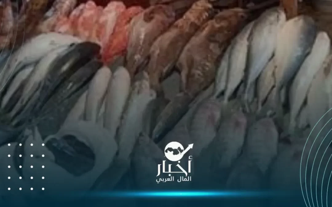 أسعار الأسماك في السوق المصرية اليوم الأحد 26 نوفمبر