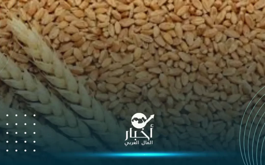 زيادة سعر إردب القمح واستيراد كميات جديدة